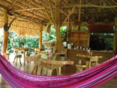 Отель Blue Conga Puerto Viejo de Talamanca Экстерьер фото