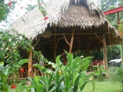 Отель Blue Conga Puerto Viejo de Talamanca Экстерьер фото