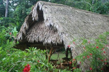 Отель Blue Conga Puerto Viejo de Talamanca Экстерьер фото